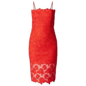 Bardot red lace midi dress